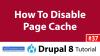 Disable Drupal 8 Caching During Development
