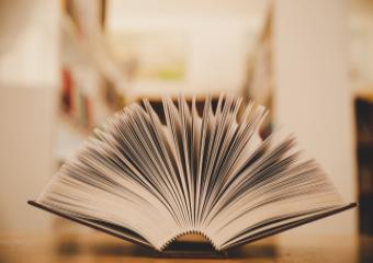 Maintenance of a publishing company - book image